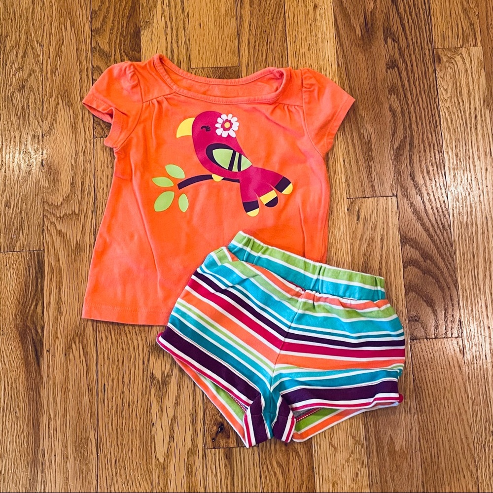 🌟5/$25!🌟 Circo play outfit